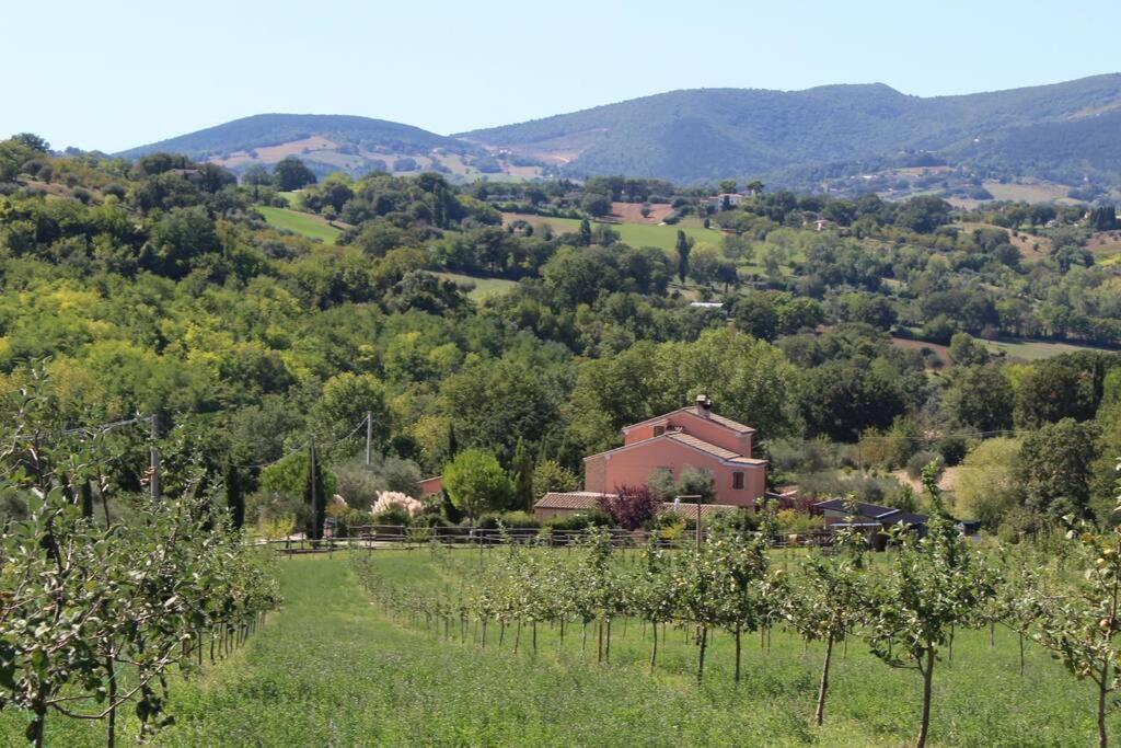 Casa Kikenda, Viaggio Nella Natura Treia Экстерьер фото