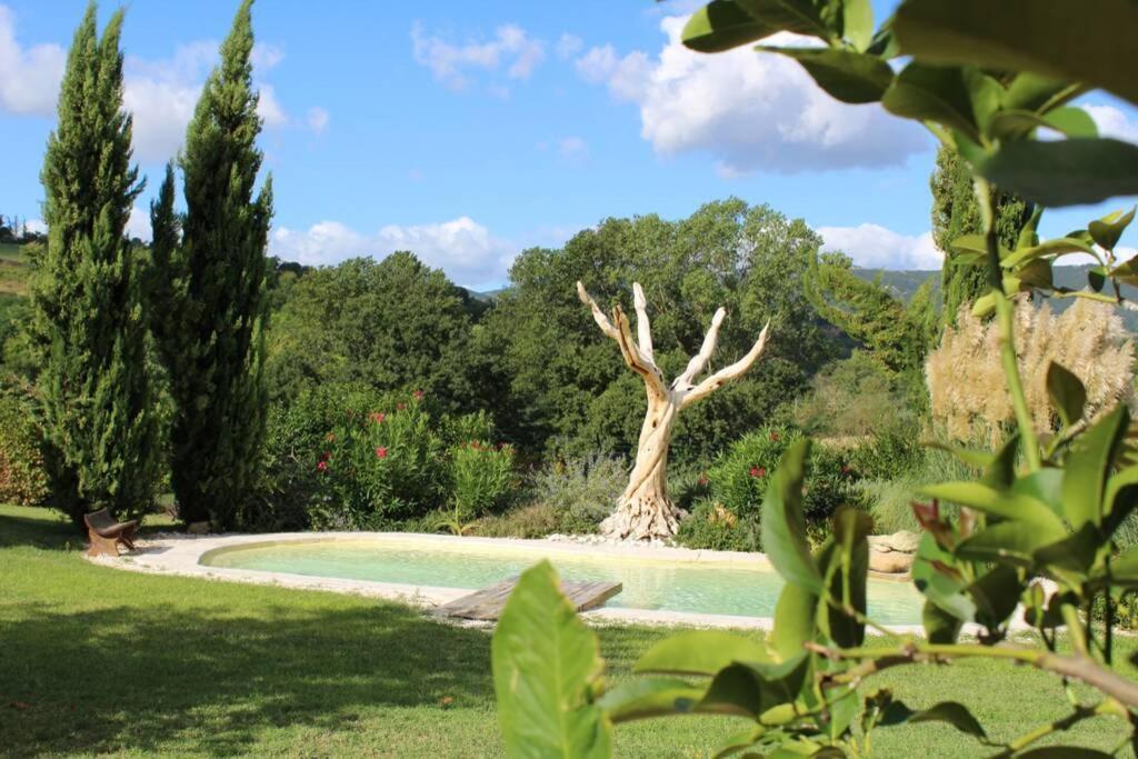Casa Kikenda, Viaggio Nella Natura Treia Экстерьер фото