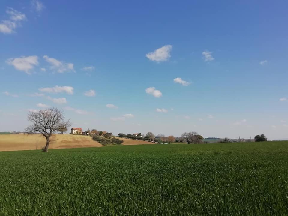 Casa Kikenda, Viaggio Nella Natura Treia Экстерьер фото