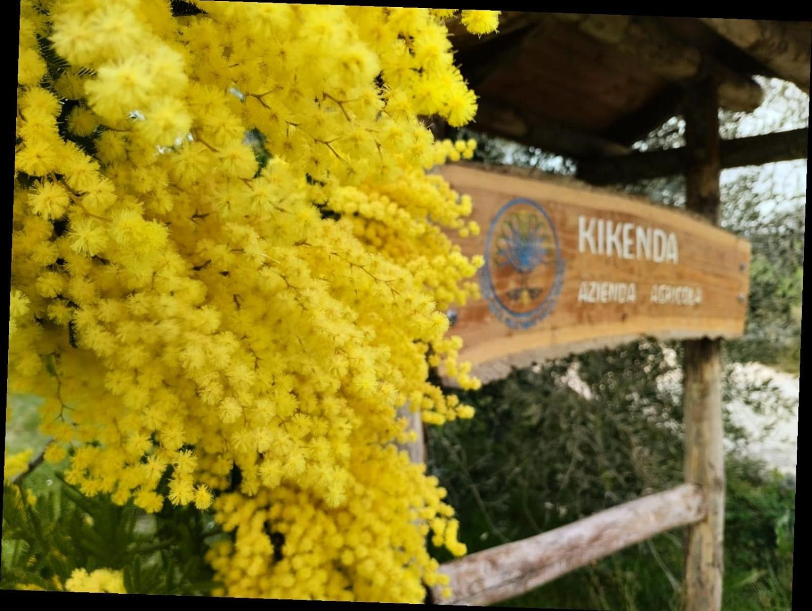 Casa Kikenda, Viaggio Nella Natura Treia Экстерьер фото