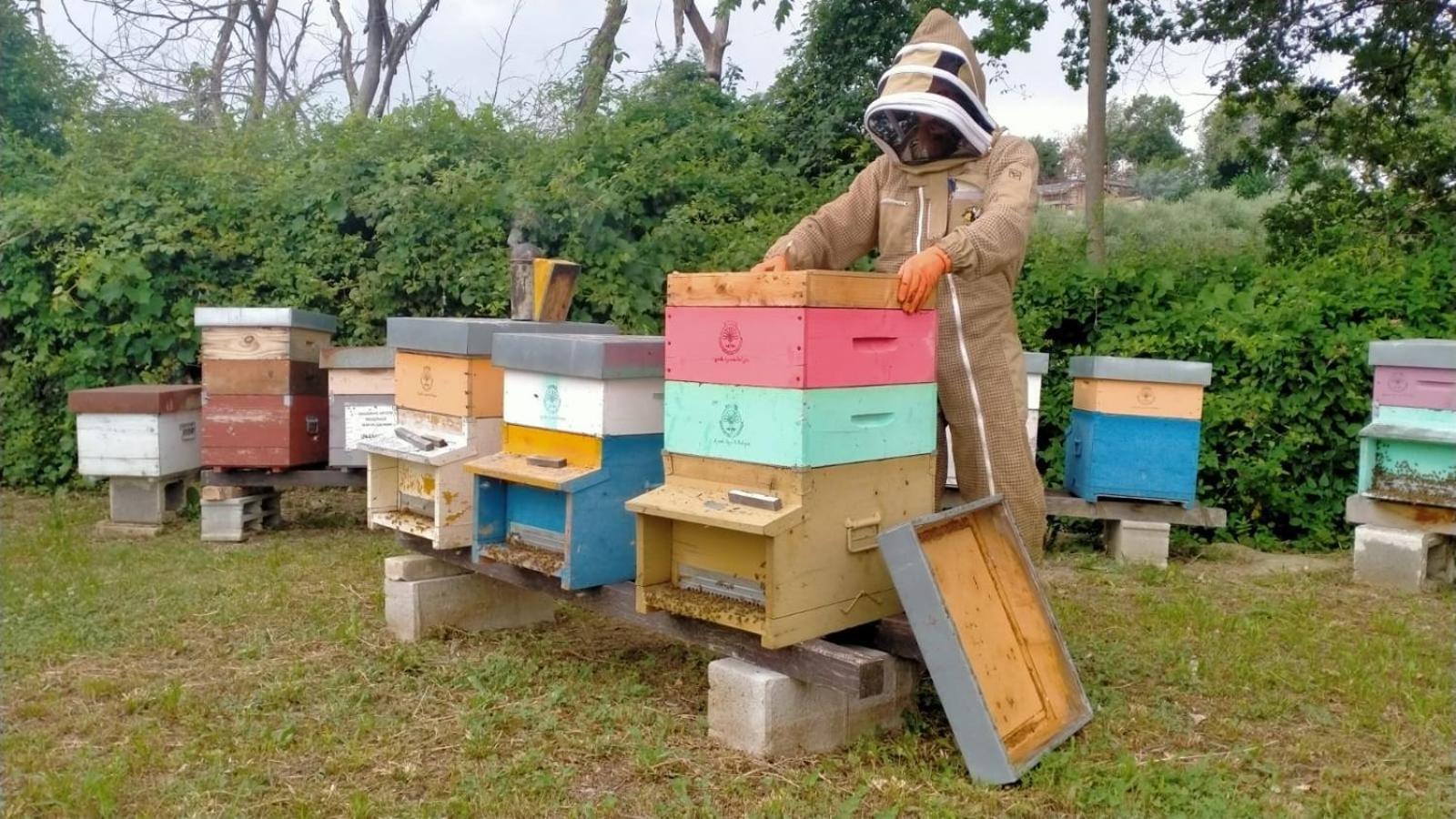 Casa Kikenda, Viaggio Nella Natura Treia Экстерьер фото
