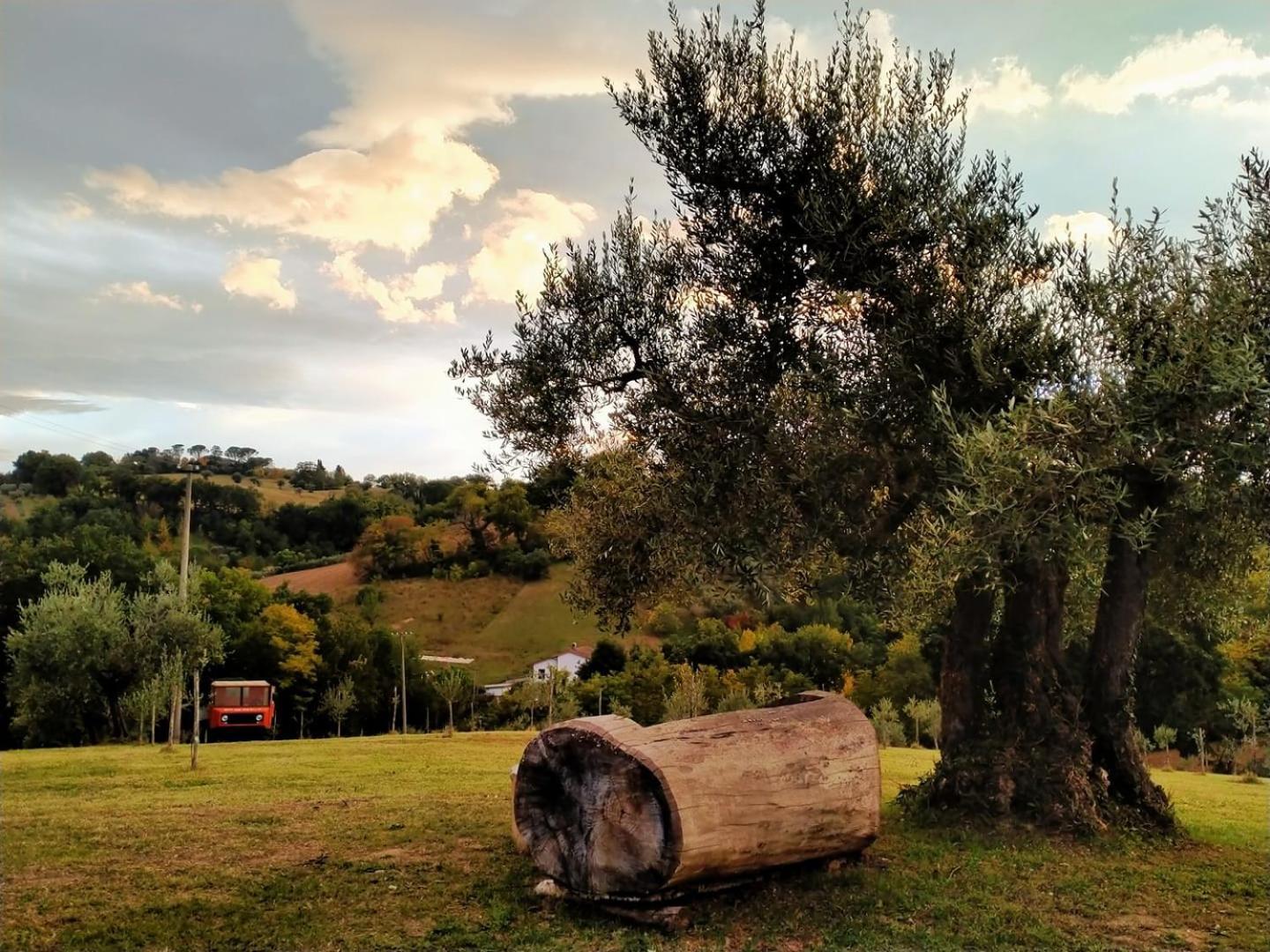 Casa Kikenda, Viaggio Nella Natura Treia Экстерьер фото
